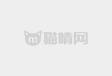天王星像素：基于文泉驿点阵中文字库的点阵字体 免费商用-猫啃网